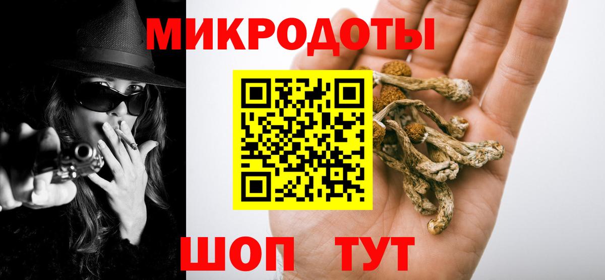 Псилоцибиновые грибы Cubensis Ефремов