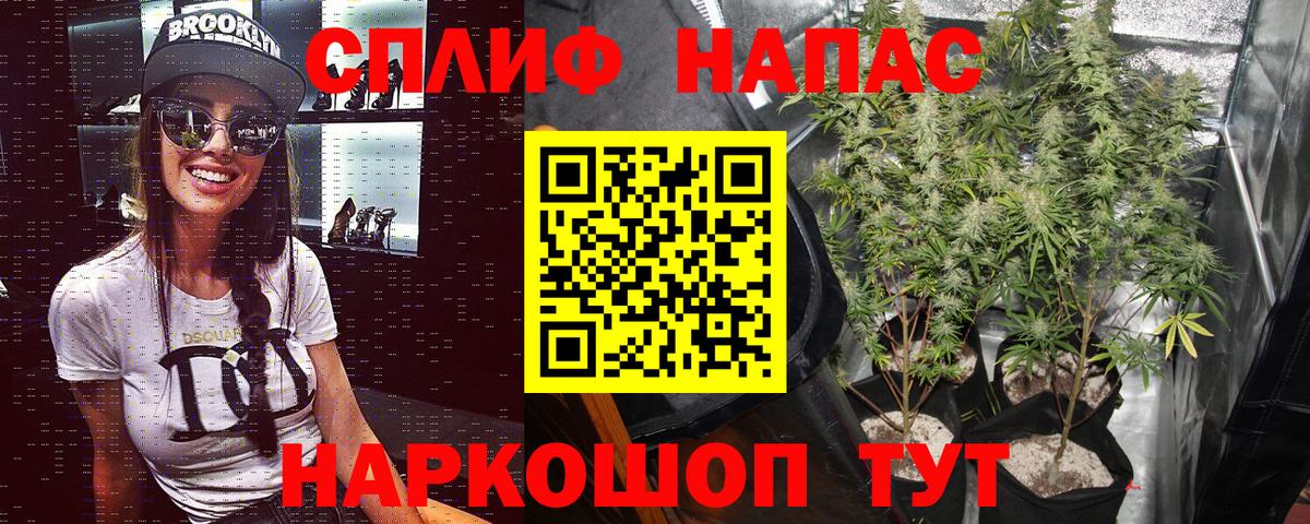Каннабис ГИДРОПОН Ефремов
